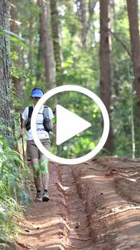 BIB:  <button type="button" onclick="openModal(26569765)" class="btn btn-primary btn-sm float-right" data-toggle="modal" data-target=".modal-high-quality">
                <i class="fa fa-download"></i> Download
                </button>